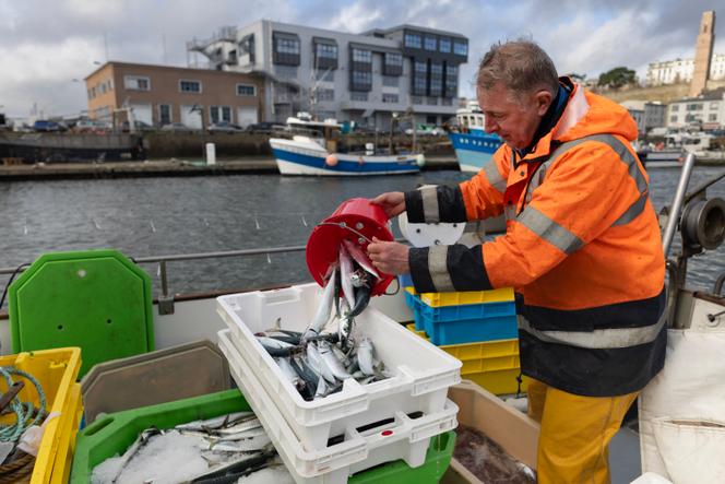 Sur le bateau d’un pêcheur français à Brest, le 11 décembre 2025.