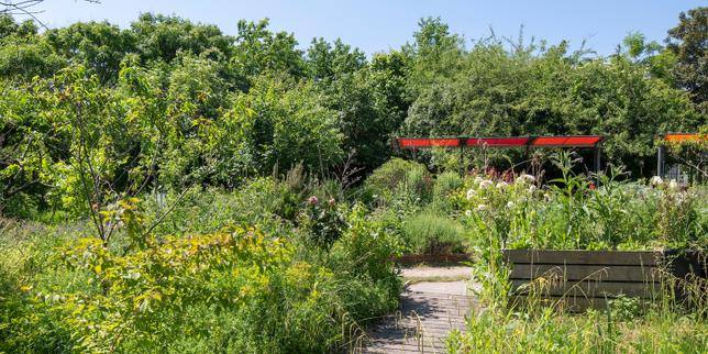 Le parc de La Villette se réinvente, entre ferme urbaine, biodiversité retrouvée et adaptation au changement climatique