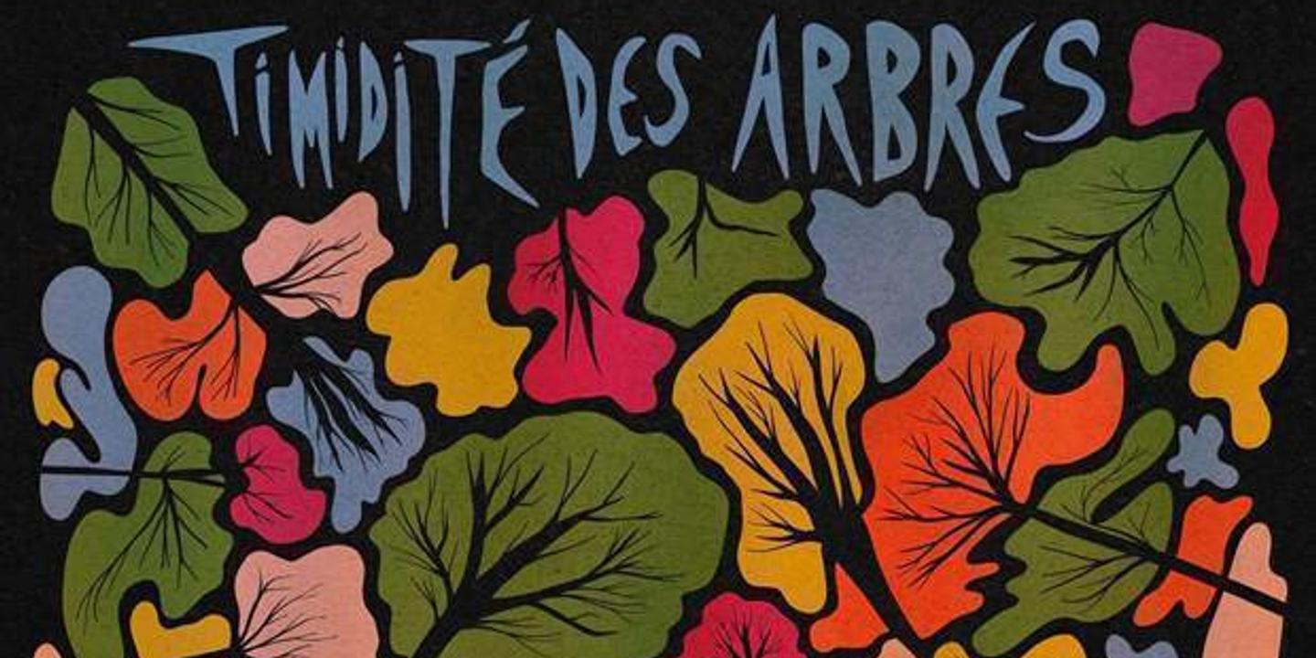 Quatre albums à découvrir cette semaine : du folk-rock au rock indépendant