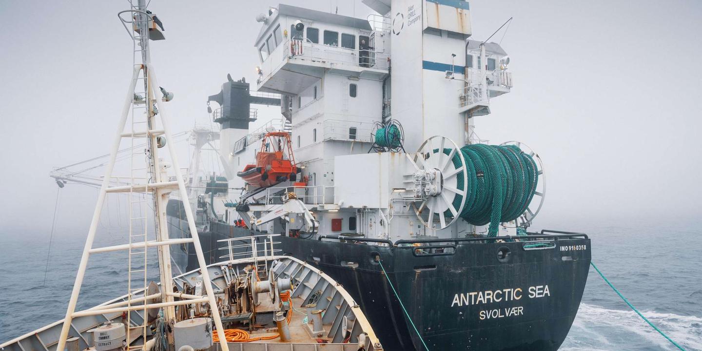 Un navire de Sea Shepherd percute un chalutier norvégien en Antarctique