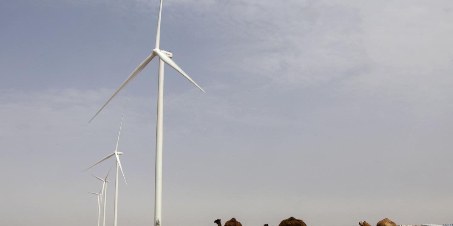 Les pays vulnérables accélèrent leur transition vers les énergies renouvelables
