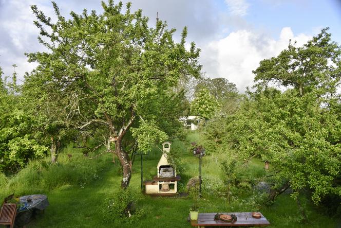 O jardim de Annick Gauthier e sua companheira, em Mailly (Saône-et-Loire), em maio de 2023.