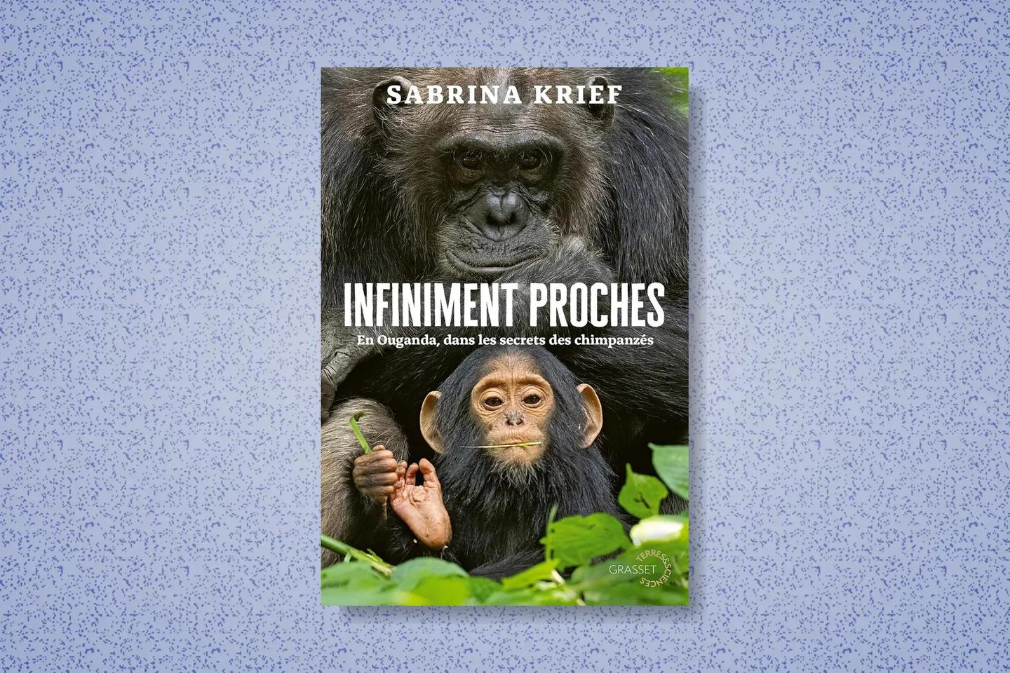 « Infiniment proches », à la rencontre des chimpanzés du parc de Kibale, en Ouganda