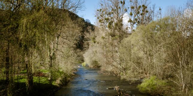 Près du Mans, la Sarthe suit son cours entre beautés naturelles et trésors d’histoire