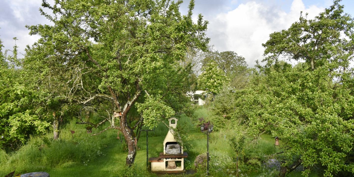 Les jardins privés, refuges cruciaux pour la biodiversité mais menacés