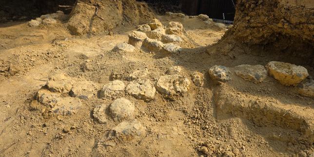 Dinosaur egg trove discovered in Hérault