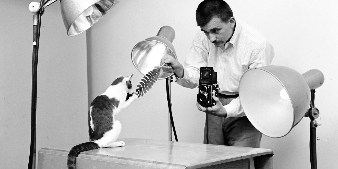 Walter Chandoha, pionnier de la photographie féline, célébré dans un nouvel ouvrage