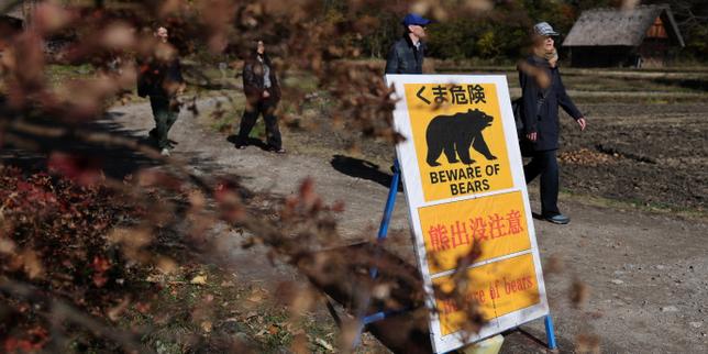 Dans le nord du Japon, la population doit réapprendre à vivre avec l’ours