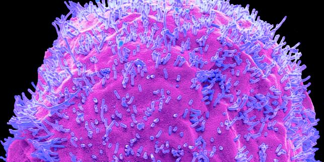 Grippe : ces « ruses » qui rendent le virus plus nocif