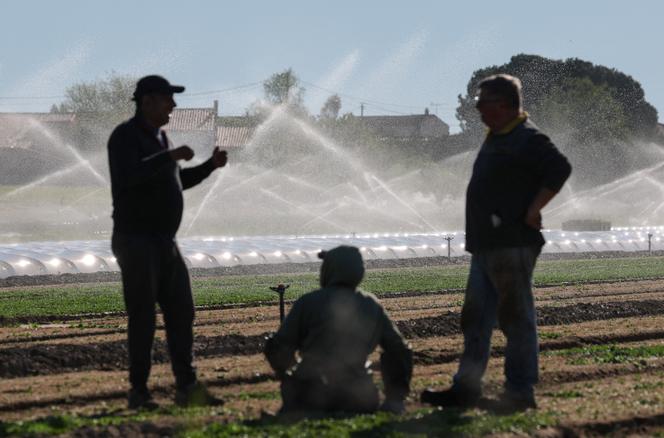 Des agriculteurs devant un système d’irrigation à Divatte-sur-Loire (Loire-Atlantique), le 8 avril 2026.
