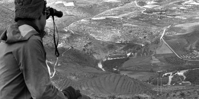 The Blood and Water Logic of the Litani River Dispute