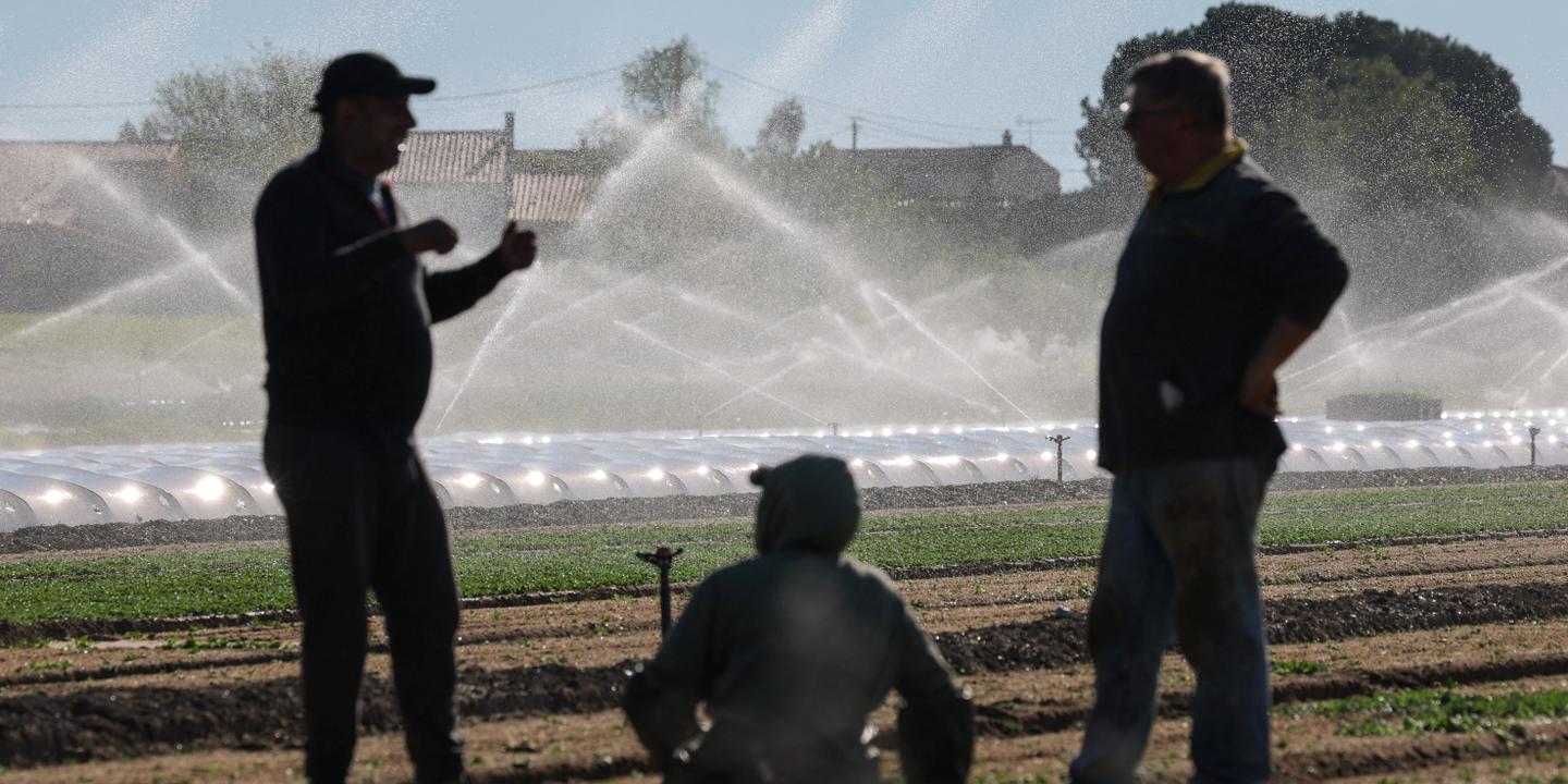 Agriculture : les plus gros irrigants captent la majorité de l’eau dans les zones tendues