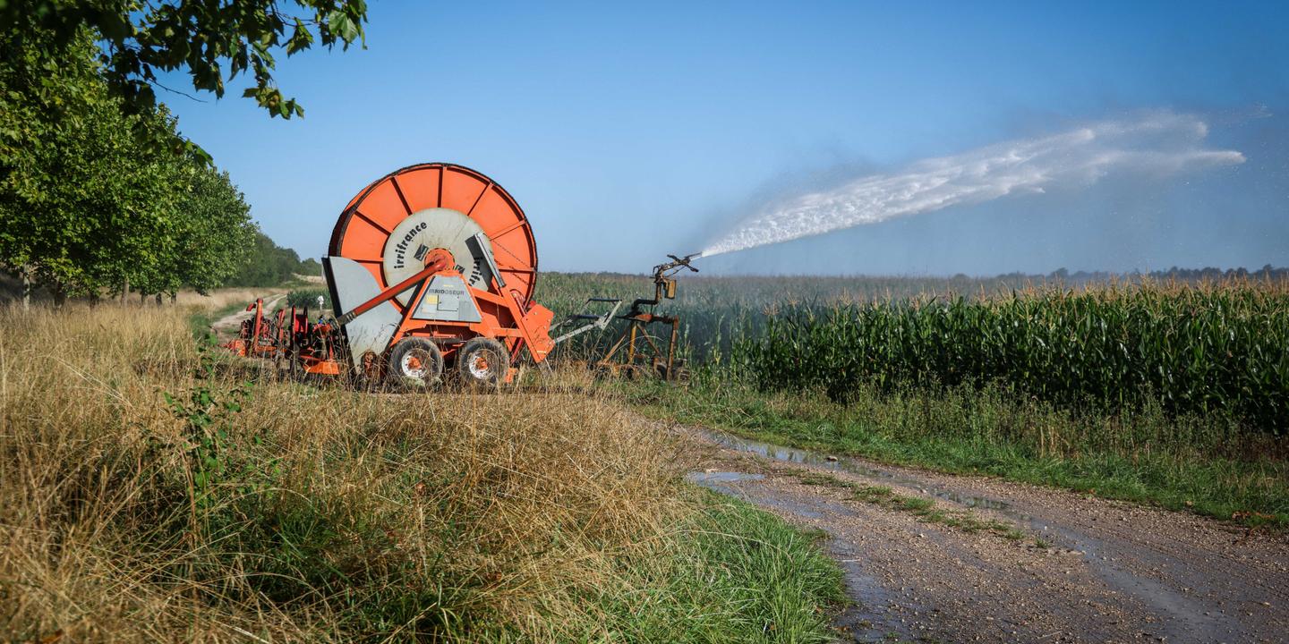 Projet de loi d'urgence agricole : un texte touche-à-tout aux risques environnementaux majeurs