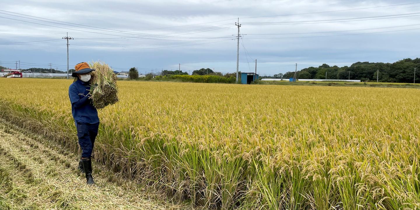 Le Japon teste une prime controversée pour dénoncer les travailleurs clandestins