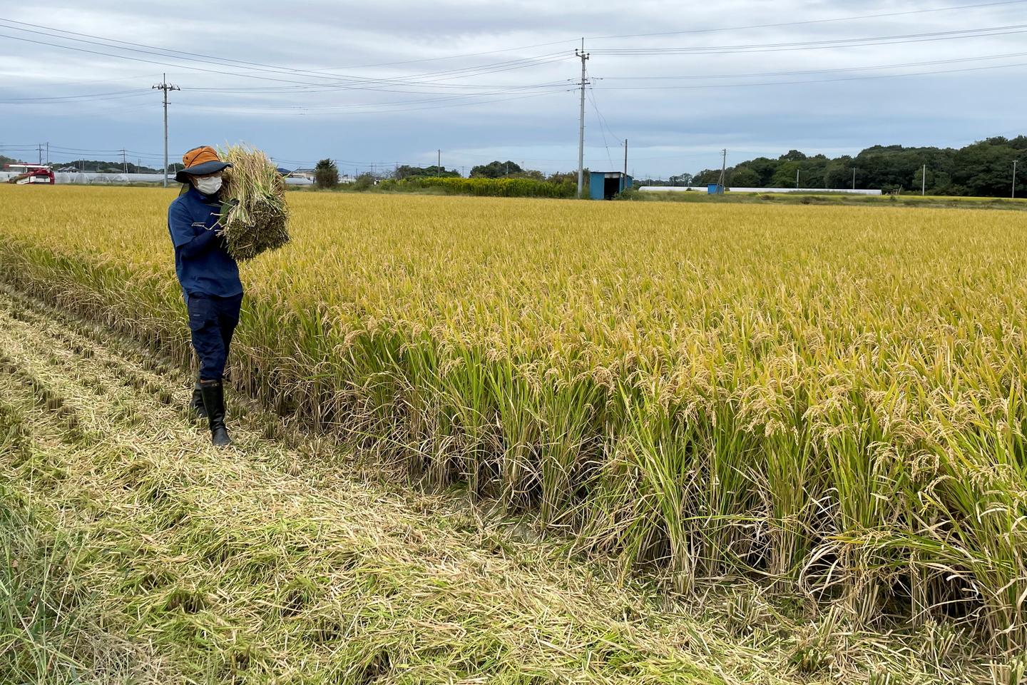 Au Japon, une préfecture propose une prime pour la dénonciation des travailleurs clandestins