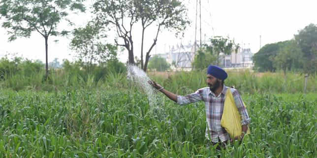 Le blocage du détroit d’Ormuz, une menace pour la sécurité alimentaire et un révélateur des fragilités des systèmes agricoles