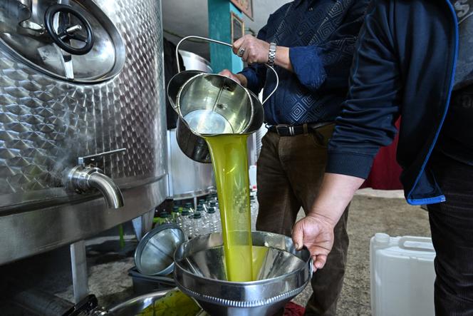 No lagar Ben Bazza em Teboursouk (Tunísia), 12 de novembro de 2025.