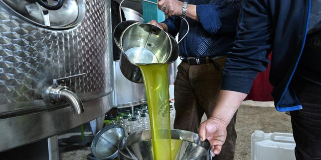 « L’étrange anomalie du prix de l’huile d’olive »