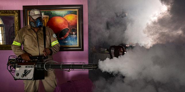 Face à la dengue, la recherche s’active alors que le réchauffement laisse craindre une saison 2026 record