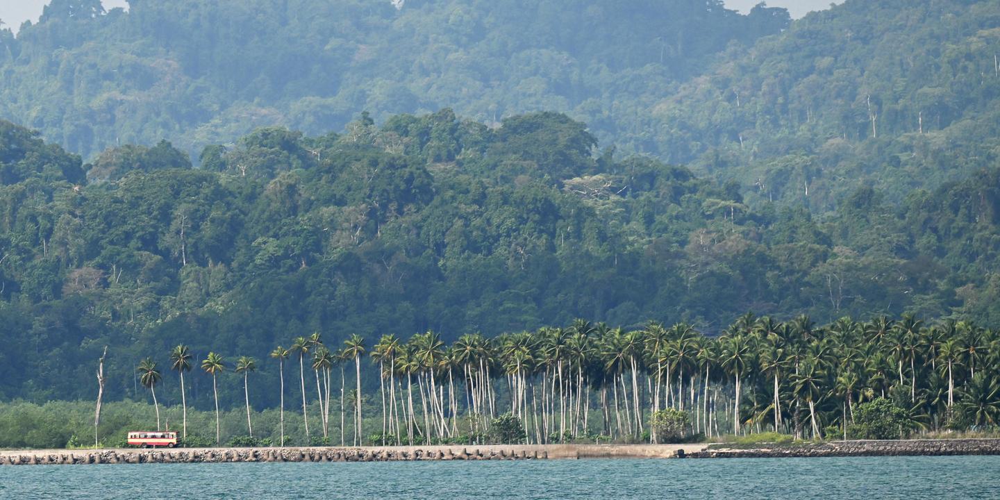 Grande Nicobar, sanctuaire de biodiversité, menacé par un projet de développement