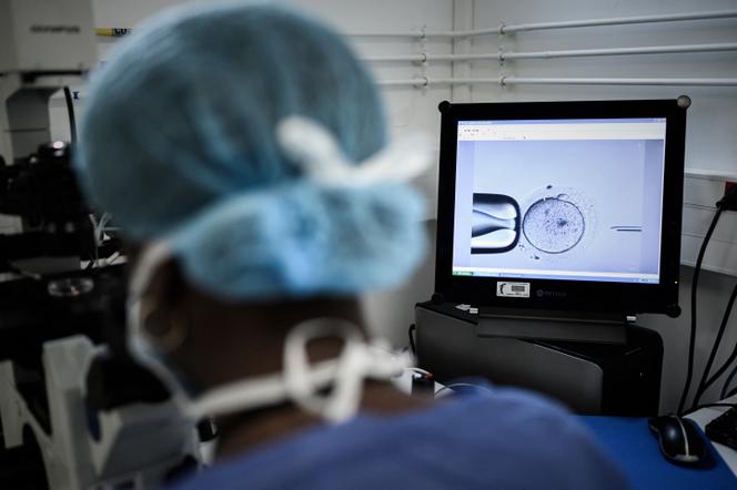 Um membro da equipe do laboratório de biologia reprodutiva CECOS – a unidade de procriação medicamente assistida (AMP) do hospital Tenon (AP-HP) – realiza uma injeção intracitoplasmática de espermatozóide (ICSI) em Paris, 24 de setembro de 2019.