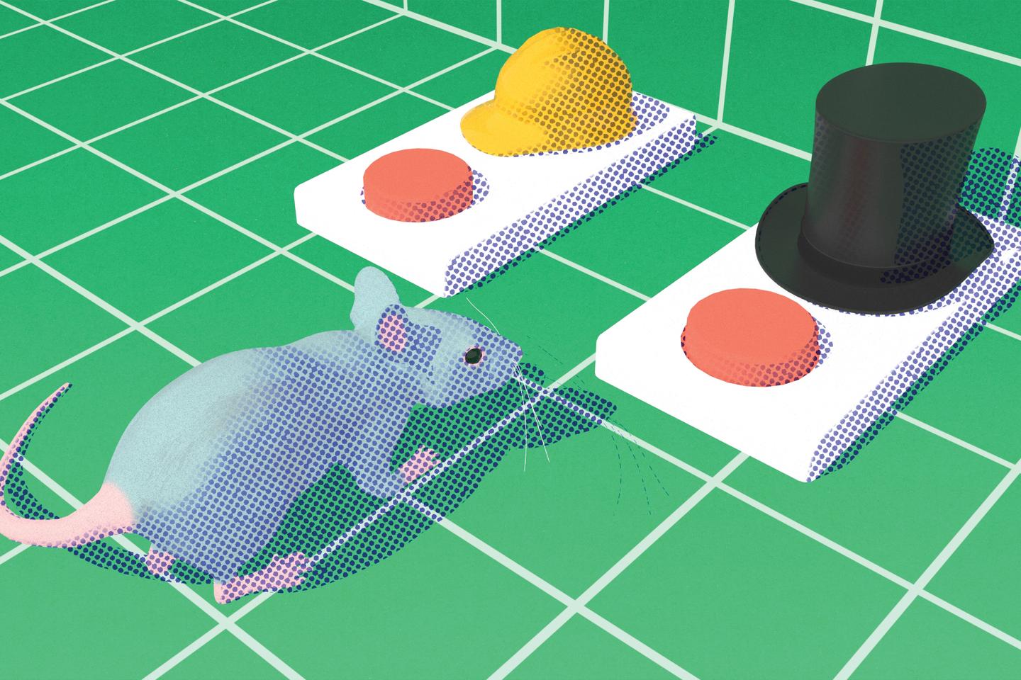 Dans une « Souris City », le rôle social des « profiteurs » et « des travailleurs » n’est pas figé