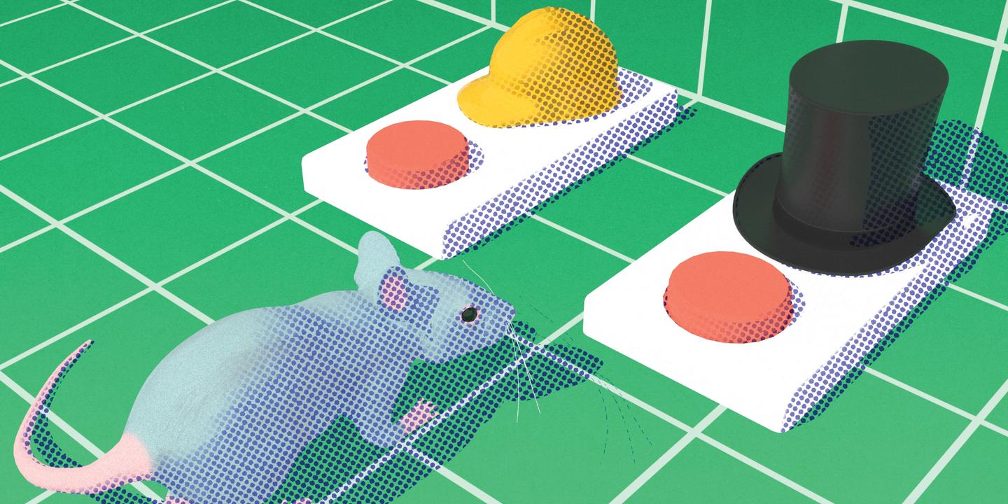 Dans une souris-city, les rôles sociaux des profiteurs et travailleurs ne sont pas figés