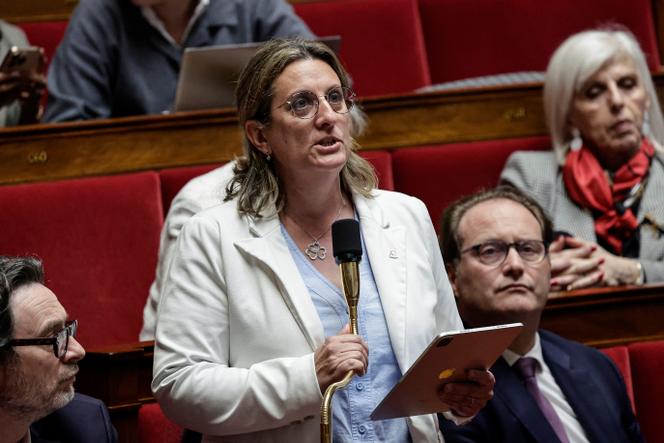 A porta-voz do grupo parlamentar do MoDem, Perrine Goulet, na Assembleia Nacional, em Paris, 24 de março de 2026.