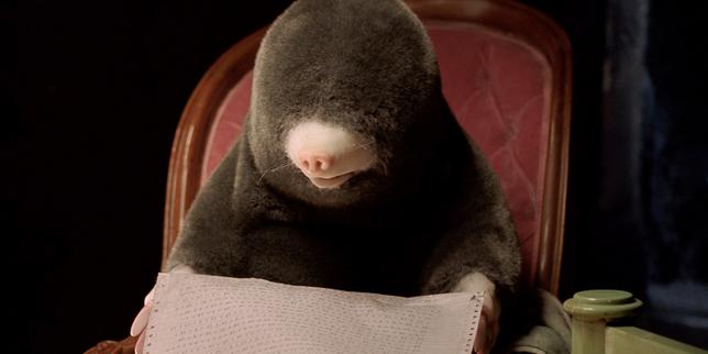 Le petit cinéma de l’étrange de Diego Marcon