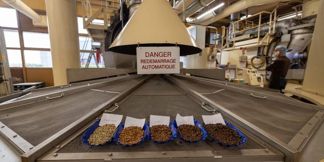 Face aux géants du café, le lillois Méo-Fichaux avance ses pions dans les supermarchés