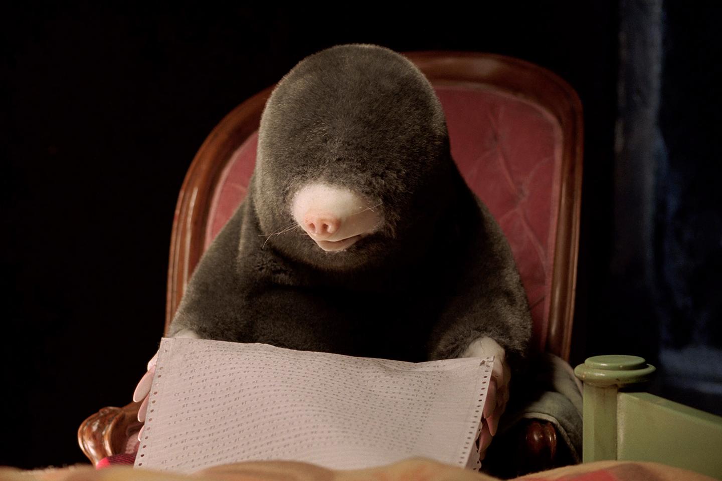 Le petit cinéma de l’étrange de Diego Marcon