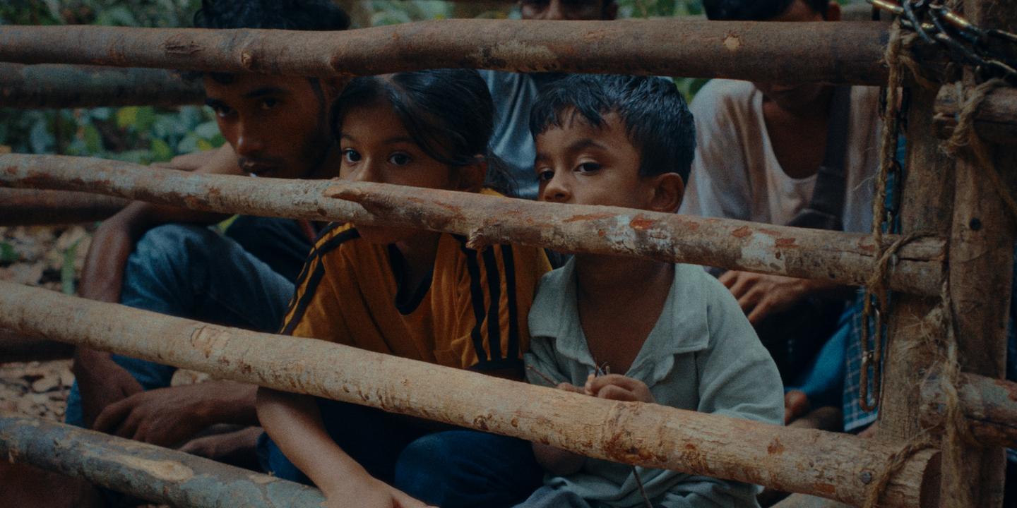 Les fleurs du manguier : le périple périlleux de deux enfants rohingya