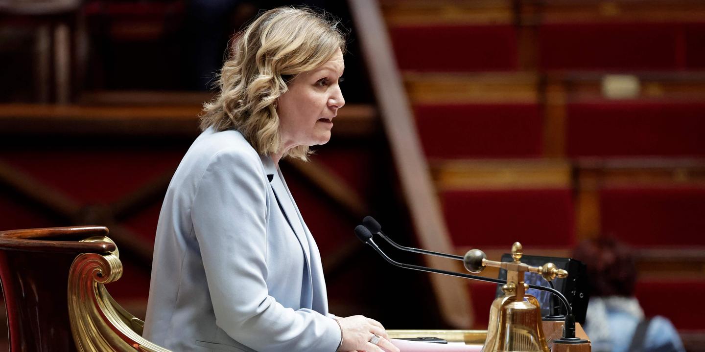 L'Assemblée nationale valide l'injonction d'examen psychiatrique pour prévenir le risque terroriste