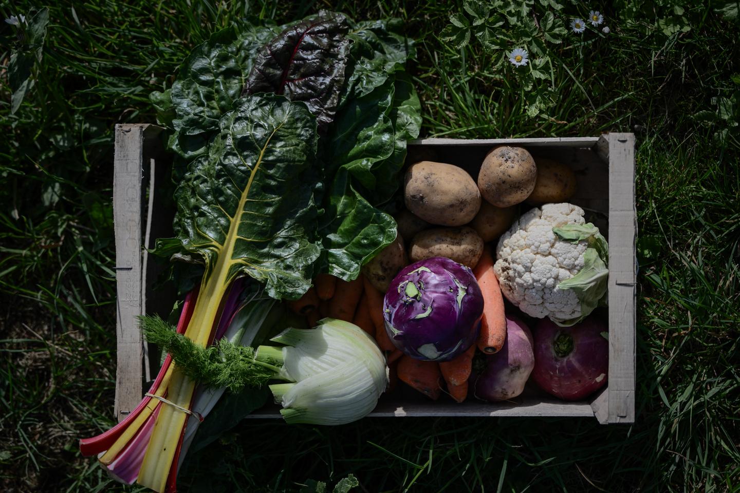 Le syndicat des magasins et des distributeurs bio écope d’amendes à hauteur de 12,67 millions d’euros pour des pratiques jugées anticoncurrentielles