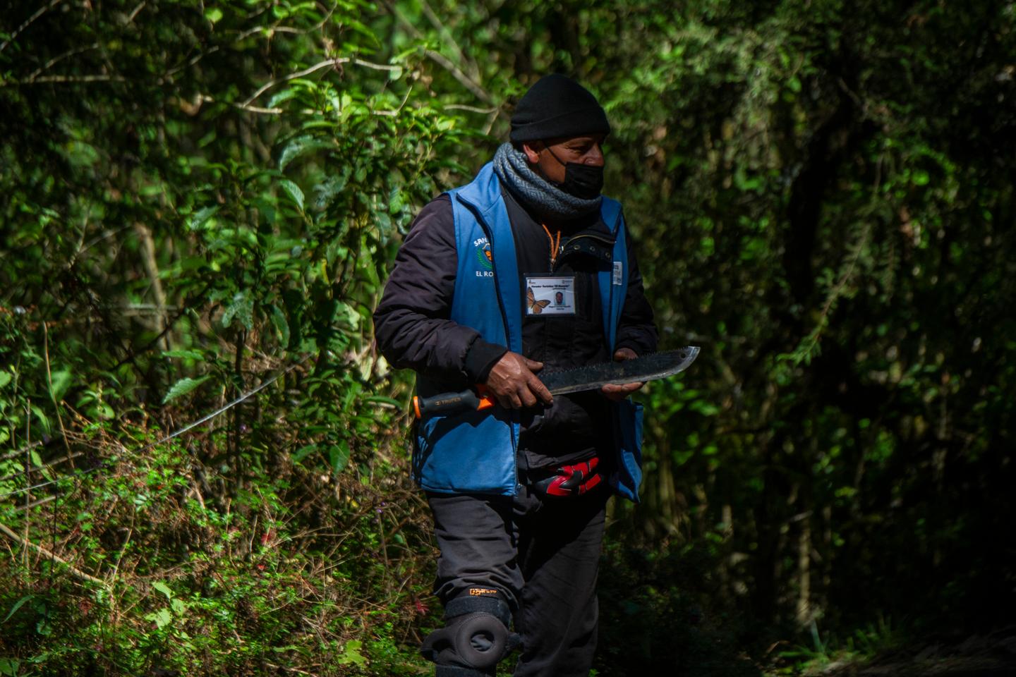Au Mexique, 199 défenseurs de l’environnement ont été assassinés en dix ans