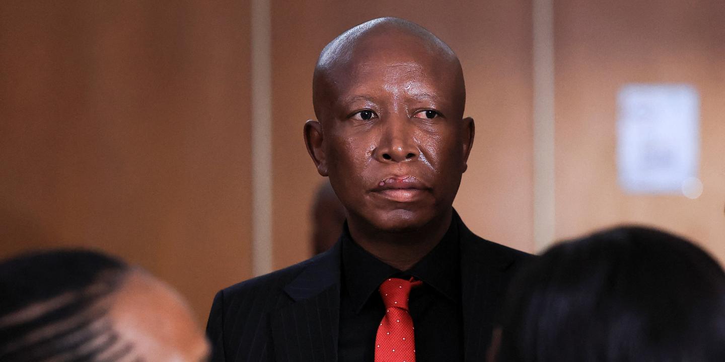 Afrique du Sud : Julius Malema condamné à 5 ans de prison pour usage d'arme à feu