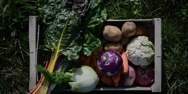 Le syndicat des magasins et des distributeurs bio écope d’amendes à hauteur de 12,67 millions d’euros pour des pratiques jugées anticoncurrentielles