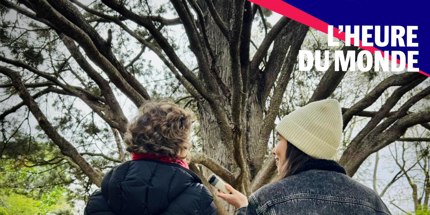 Bienfaits de la nature sur la santé : que dit la science ?