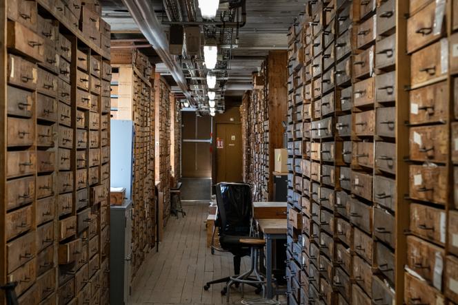 As reservas da galeria de mineralogia e geologia do Museu Nacional de História Natural de Paris, 15 de abril de 2026.