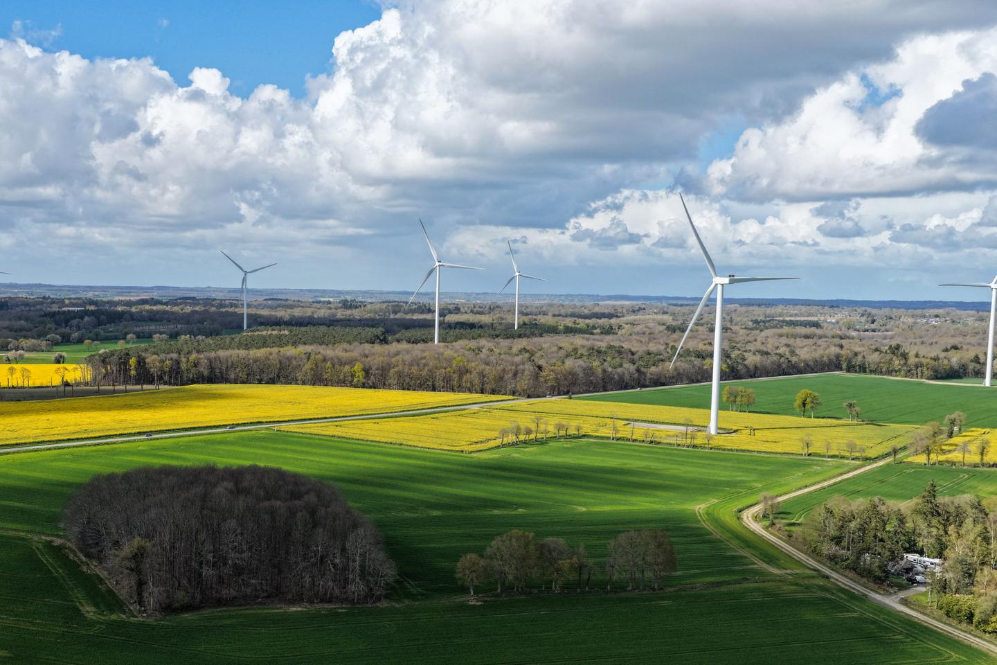 « Face à la crise énergétique, colza et tournesol, même combat »