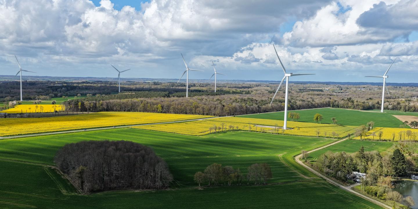 Face à la crise énergétique, colza et tournesol unissent leurs forces