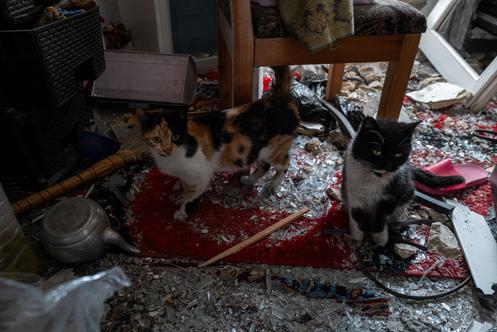 Dans un appartement de Nabatiyé, au Liban, le 18 avril 2026.