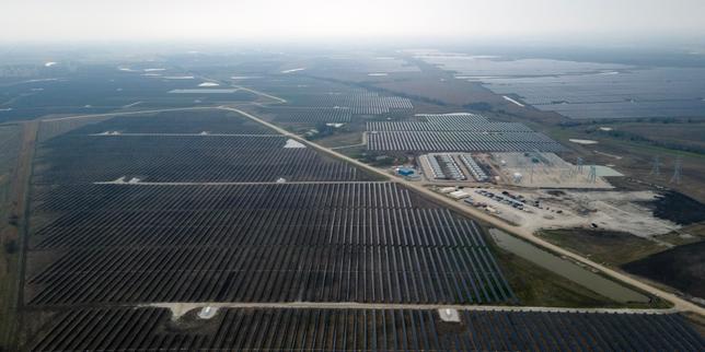 The Red State Green Energy Mirage Why Local Success is a Trap