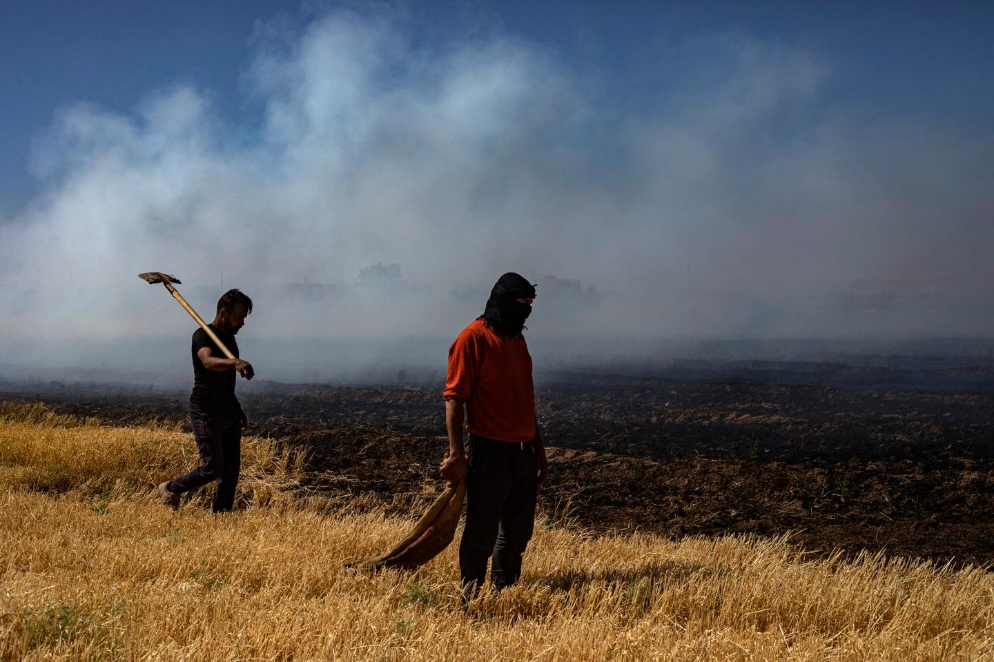 Les systèmes agroalimentaires de plus en plus menacés par les chaleurs extrêmes : « A moyen et long terme, on ne produira plus comme actuellement »