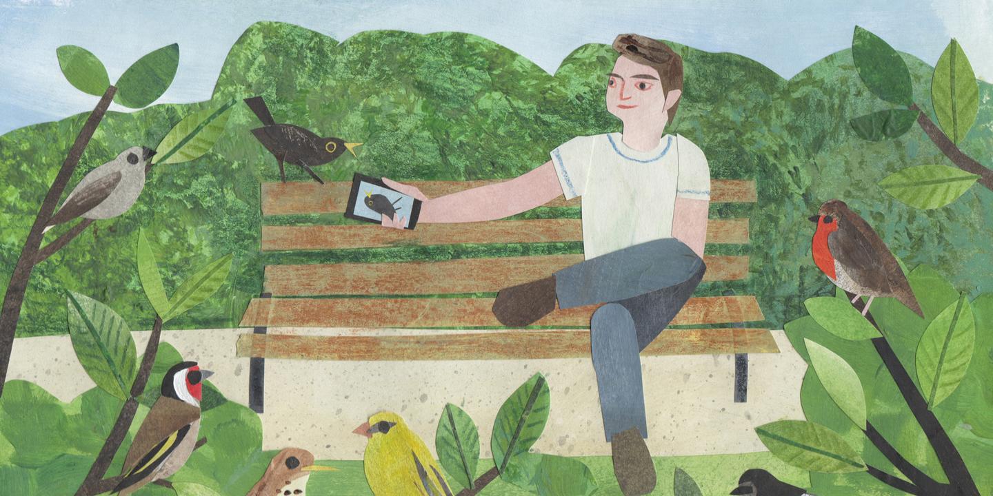 L'écoute des chants d'oiseaux : une thérapie sonore pour se connecter à la nature