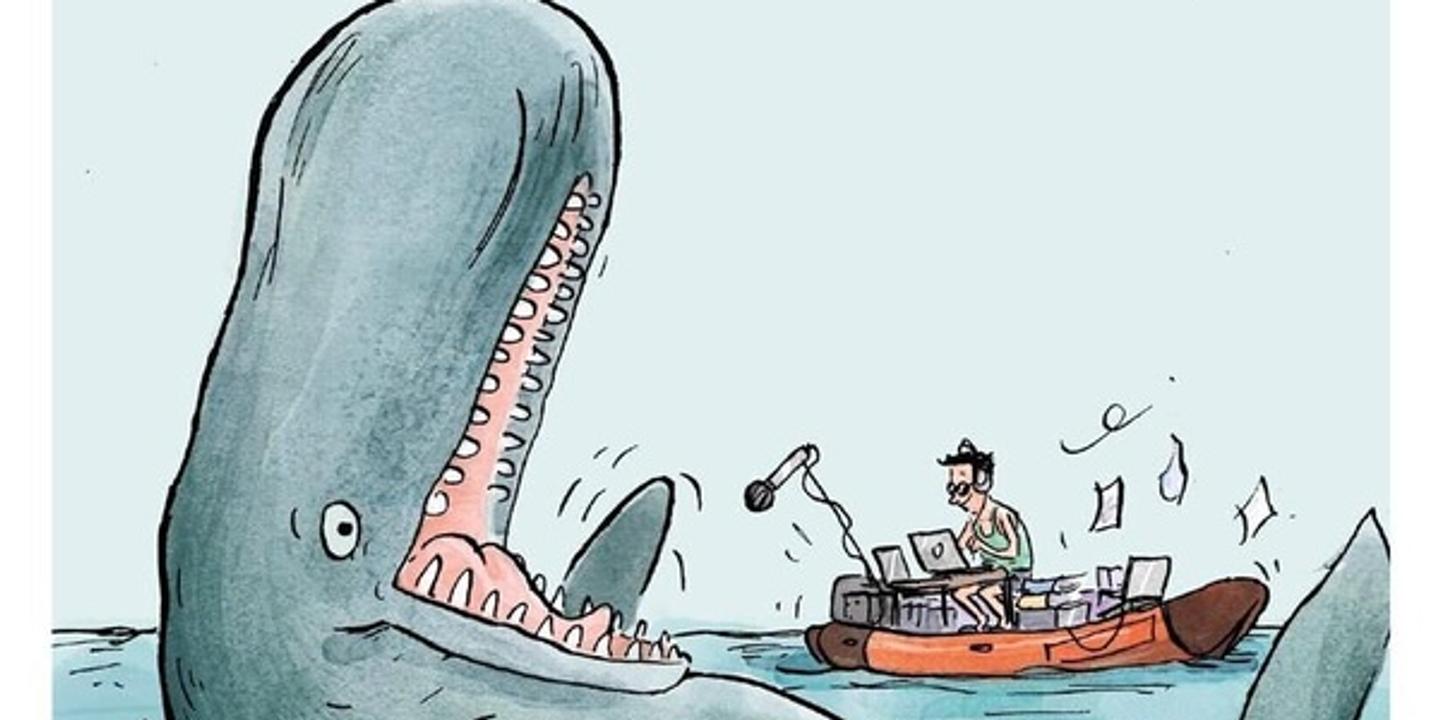 Plongée avec les cachalots : la sensibilité de ces cétacés révèle de vraies personnalités