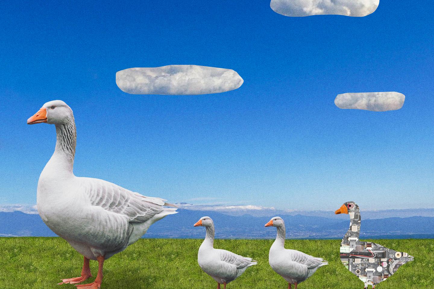 Faux chien, dauphin ou éléphant... Le robot est-il l’animal du futur ?