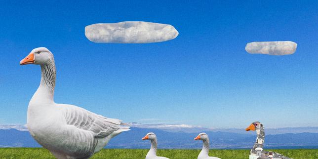 Faux chien, dauphin ou éléphant... Le robot est-il l’animal du futur ?