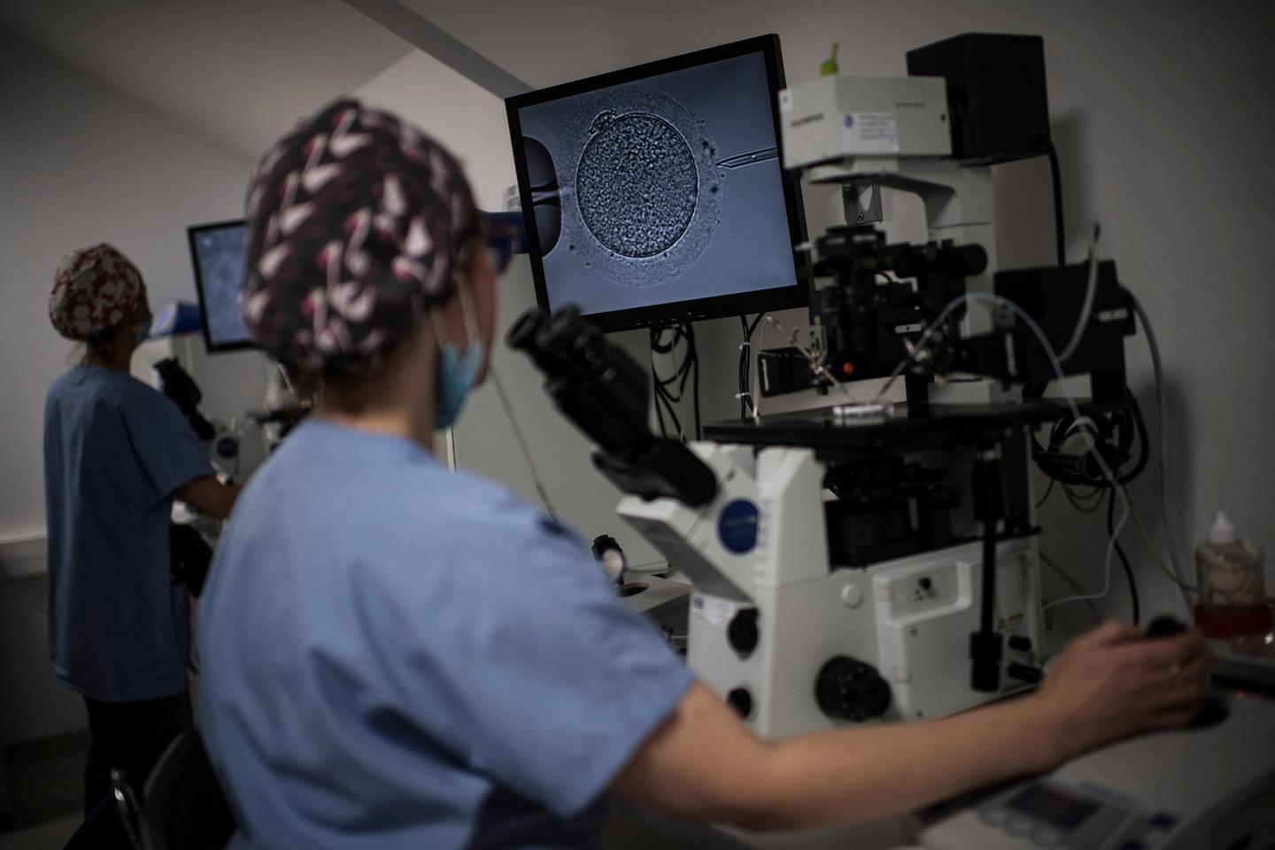 PMA : l’autorisation du diagnostic préimplantatoire des embryons en France de nouveau interrogée