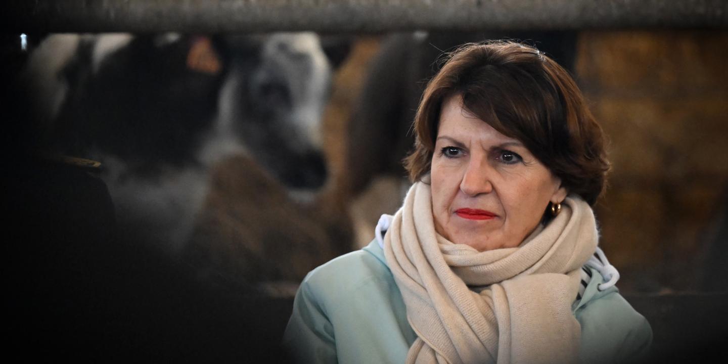 Tuberculose bovine : hausse des indemnisations pour les éleveurs